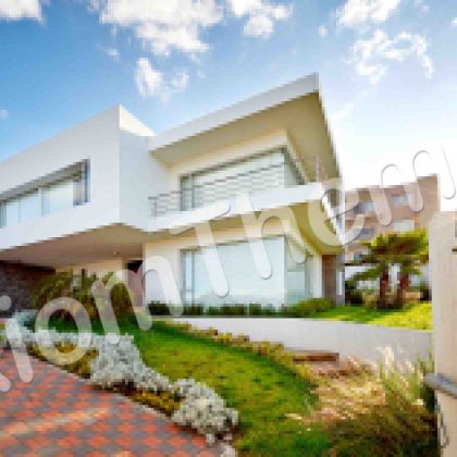 Freehold Vs. Condo